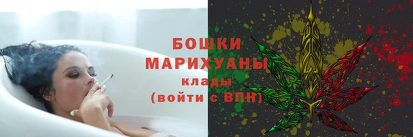 спиды Богданович