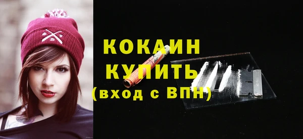спиды Богданович