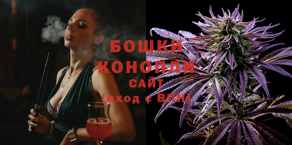 спиды Богданович