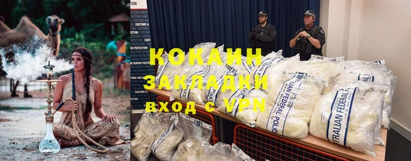 спиды Богданович