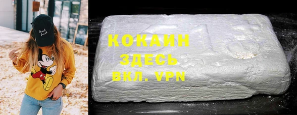 спиды Богданович