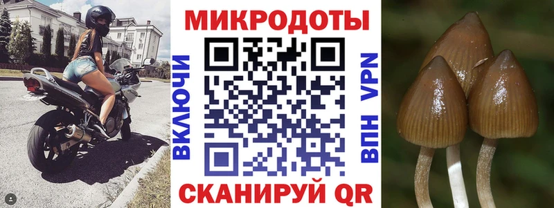 Галлюциногенные грибы мухоморы  где купить наркоту  Давлеканово 